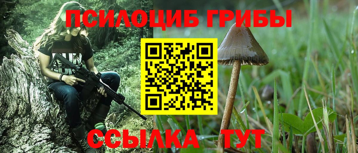 Галлюциногенные грибы Psilocybine cubensis  даркнет сайт  Ливны  Вход с VPN 