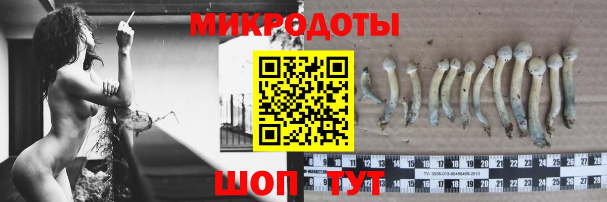 Псилоцибиновые грибы MAGIC MUSHROOMS Ливны